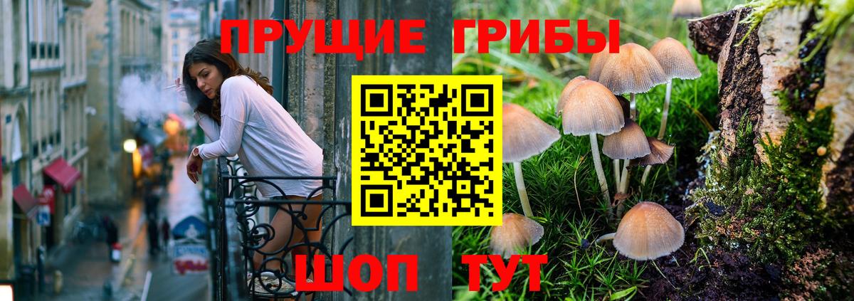 магазин  наркотиков  Псилоцибиновые грибы Psilocybine cubensis  Вход с VPN  Галлюциногенные грибы Psilocybe  Серпухов 